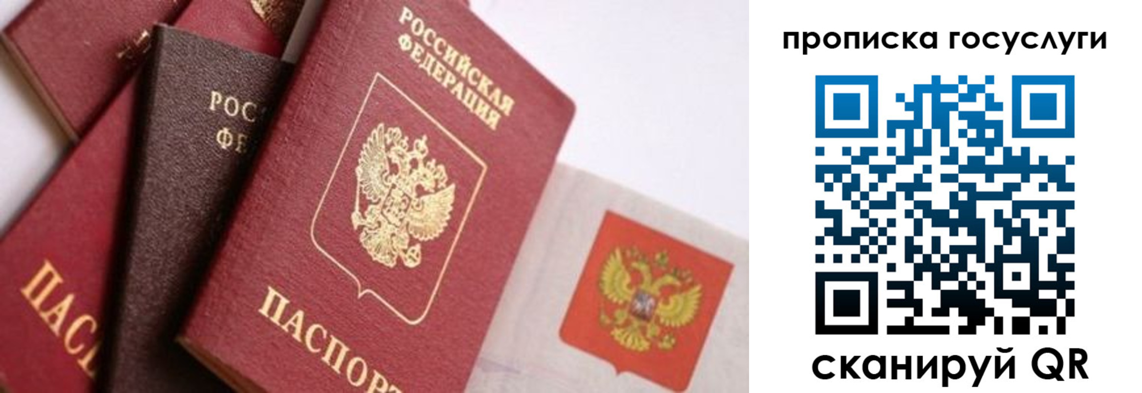 прописка законно в Сосновке